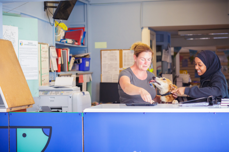 IT Support Case Study Bristol Animal Rescue Centre