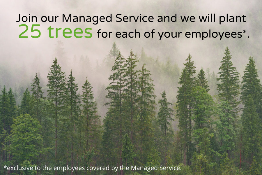 A picture of the trees with text: Join our Managed Service and we will plant 25 trees for each of your employees