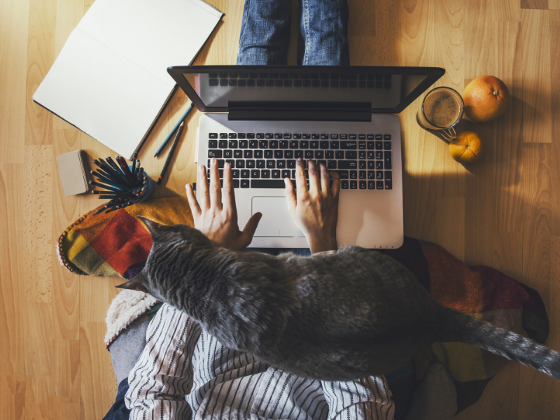 bird's view on sitting on the floor person with laptop and a cat on their laps