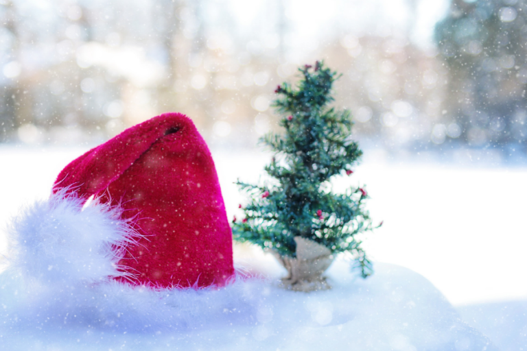 Christmas Things We Like: Santa hat next to a small Christmas tree